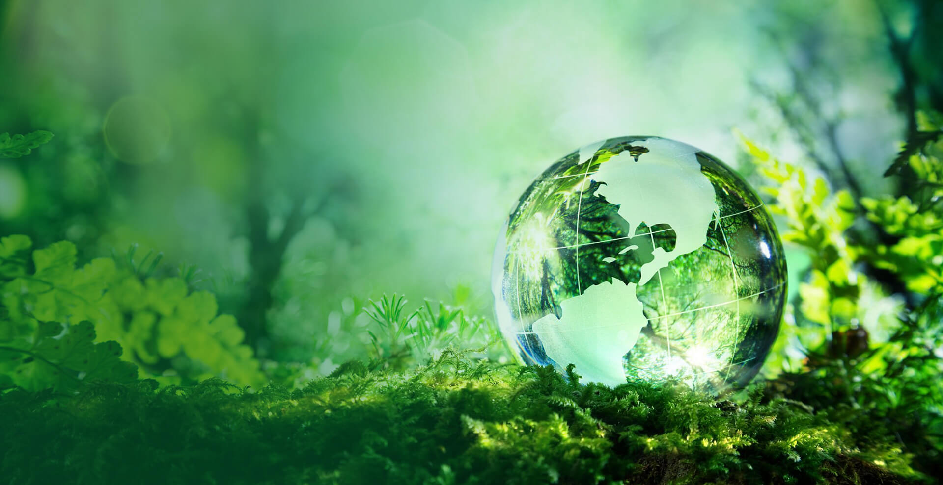 Nature - Technology - Sustainable Development